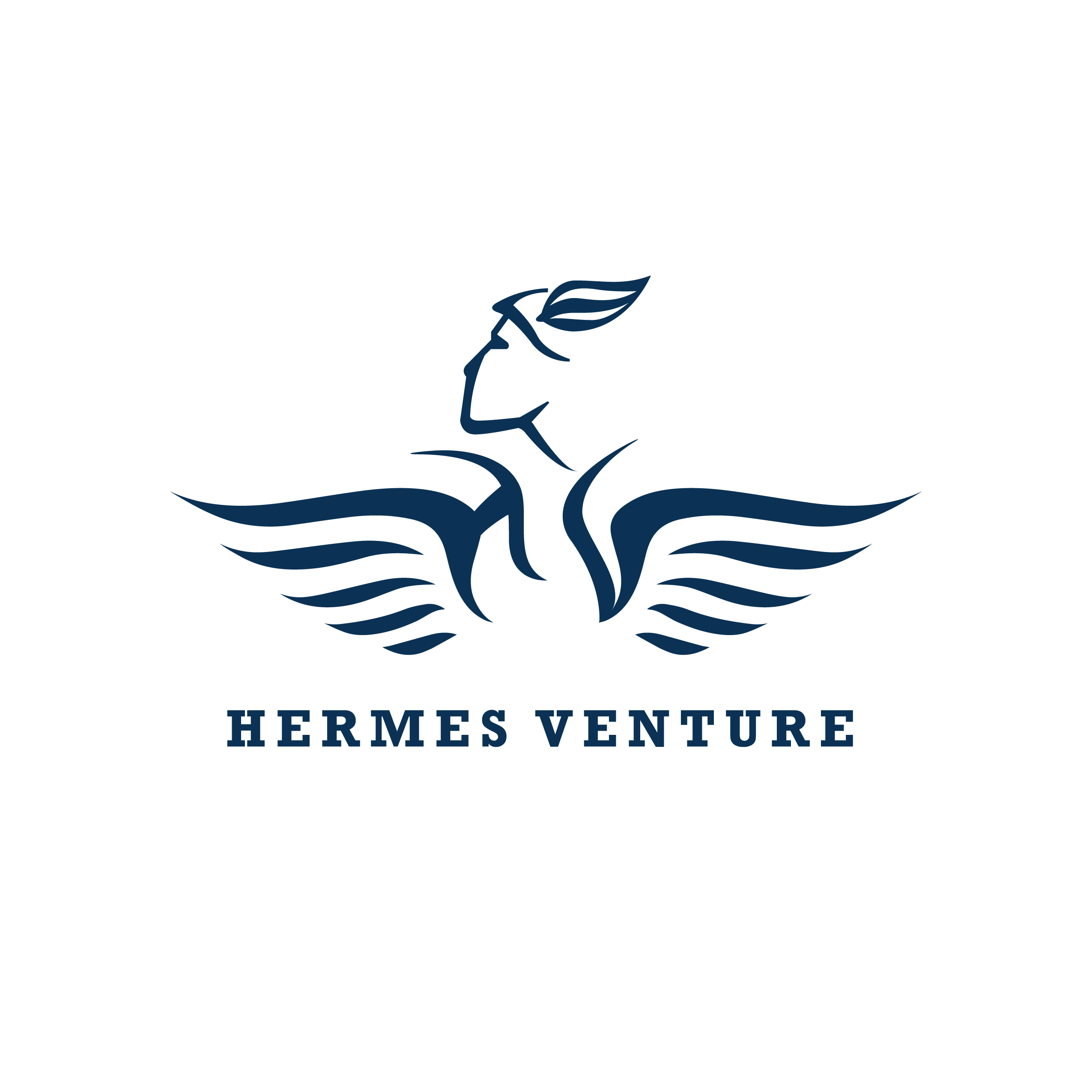 Hermes Logo-01